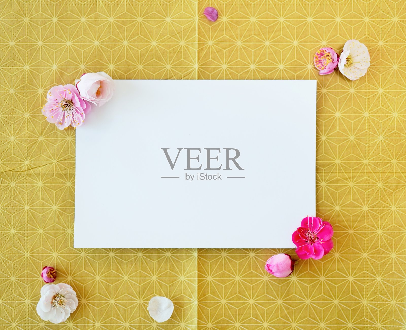 模型的长方形白色卡片装饰梅花在黄色麻叶日本图案的背景，放置水平照片摄影图片