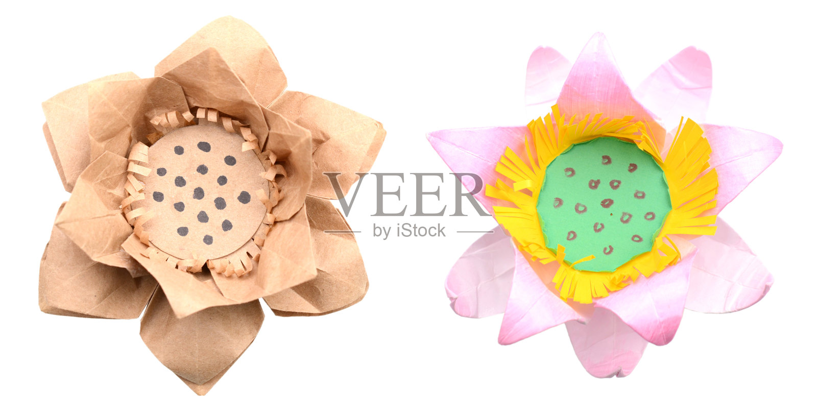 纸lotus折纸照片摄影图片