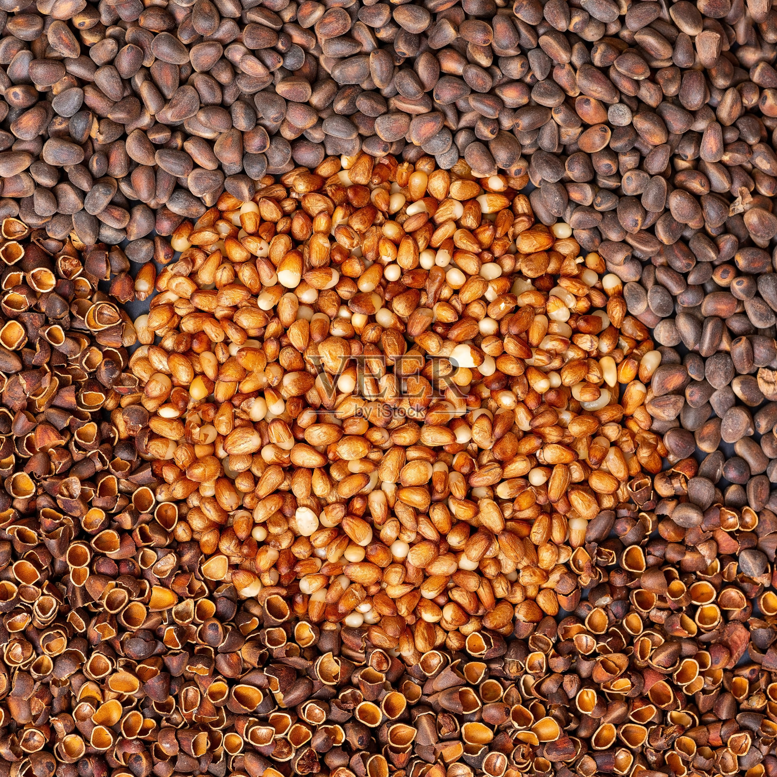 背景来自西伯利亚松子。一圈去皮的果仁照片摄影图片