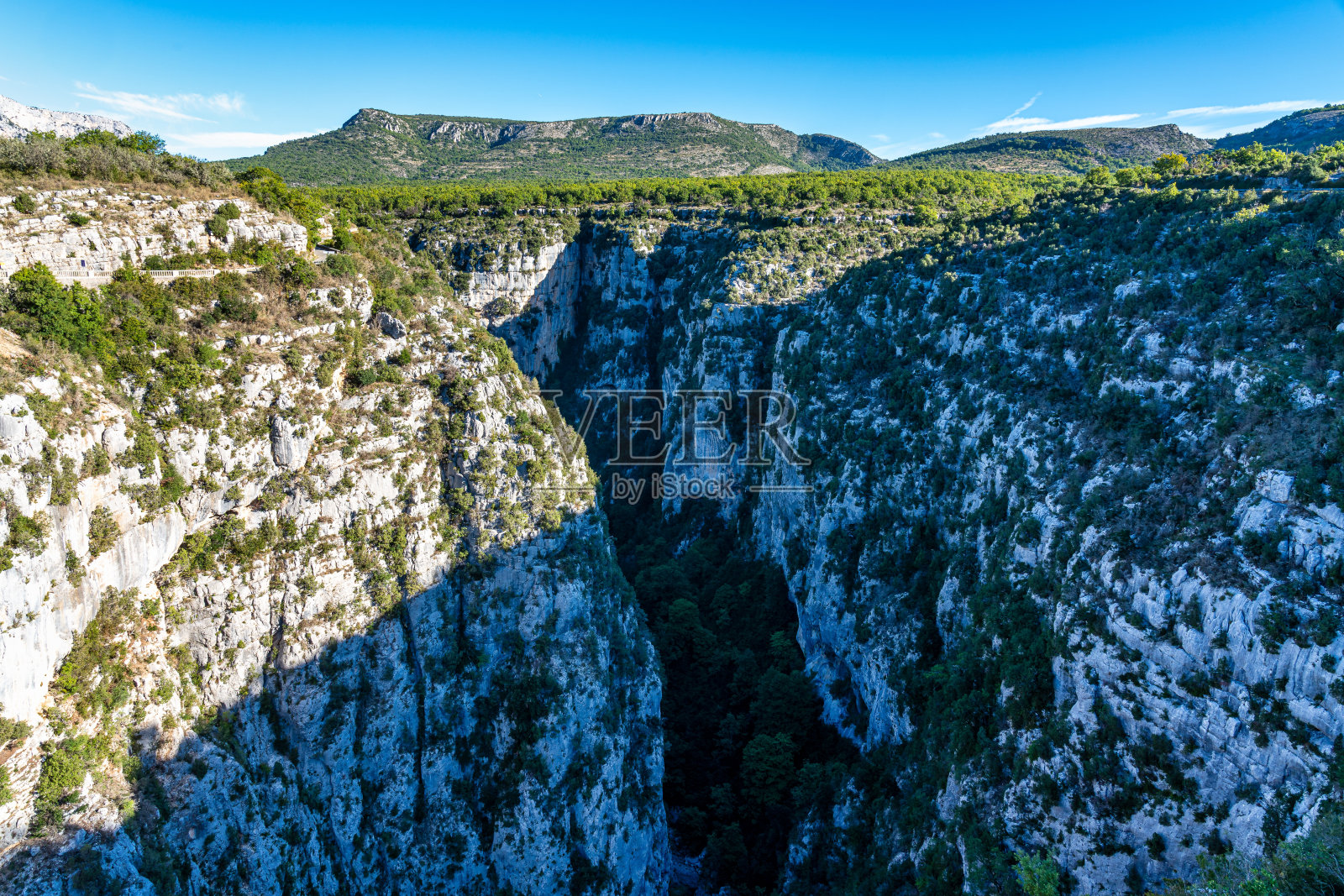 佛尔登·戈尔格，佛伦斯你离开了法国照片摄影图片