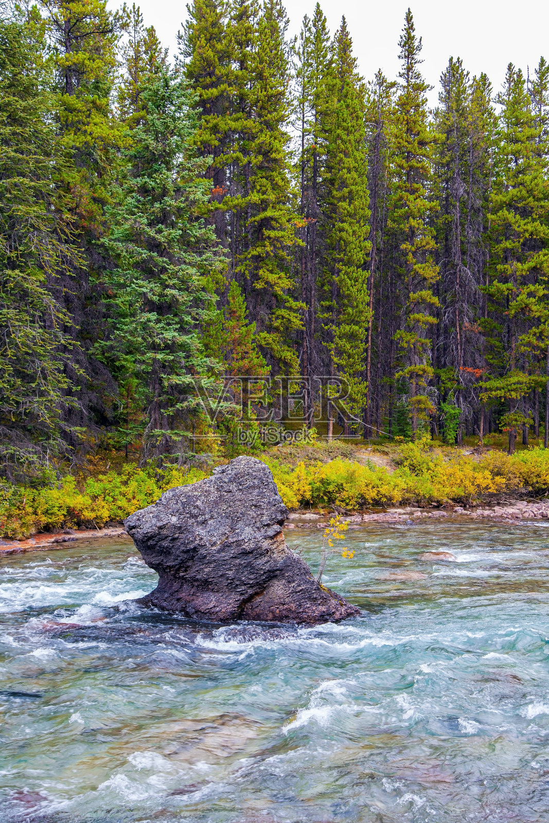 山河在针叶林中照片摄影图片