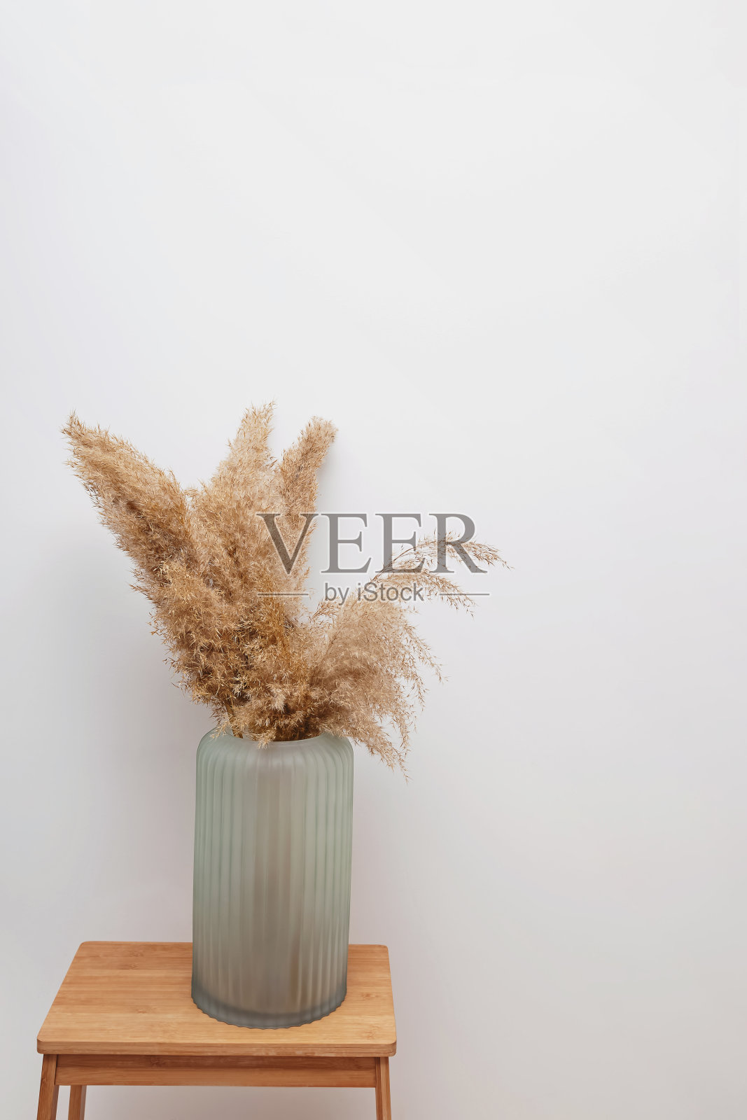 彭帕斯草在不透明的玻璃花瓶照片摄影图片