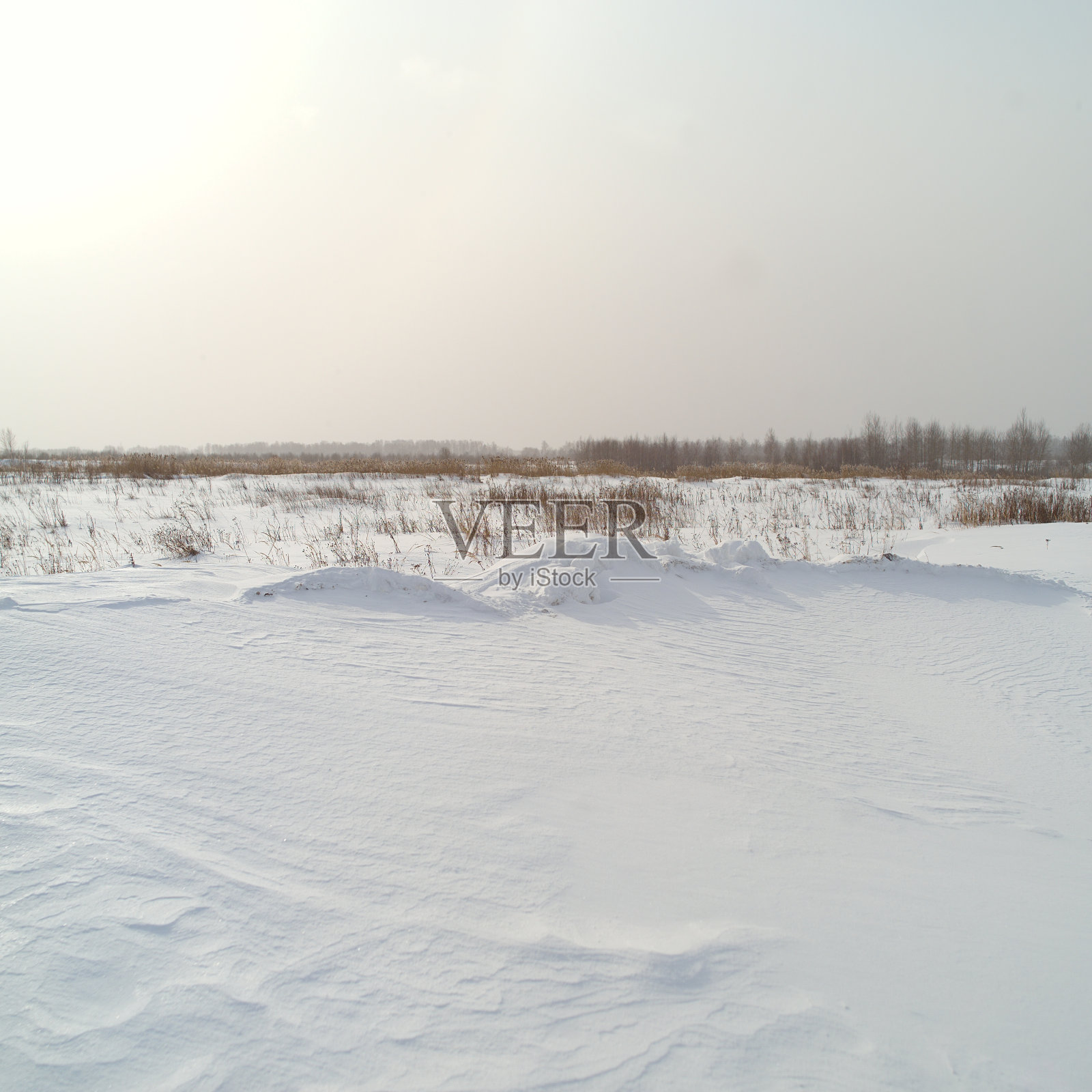 白雪皑皑的草原照片摄影图片