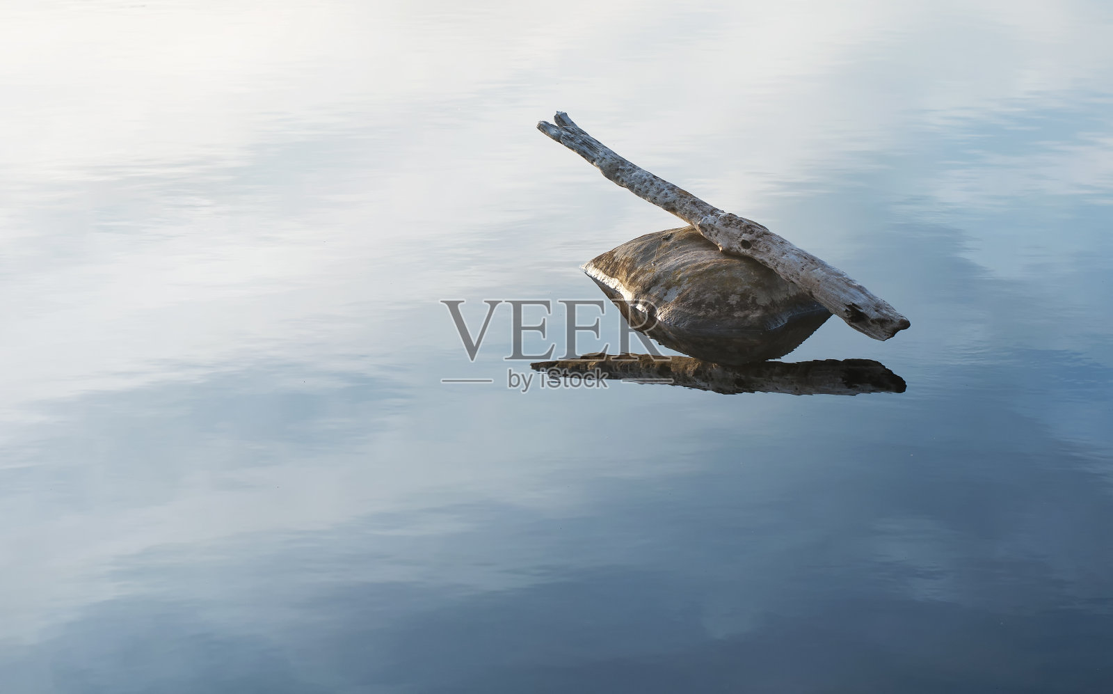 在水面上的岩石上的木树枝照片摄影图片