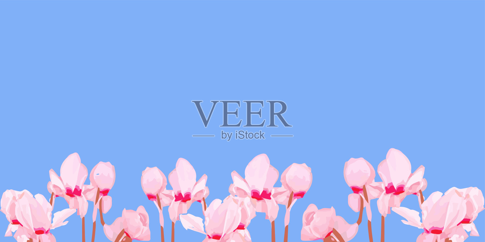 蓝色背景的粉红花朵框架插画图片素材