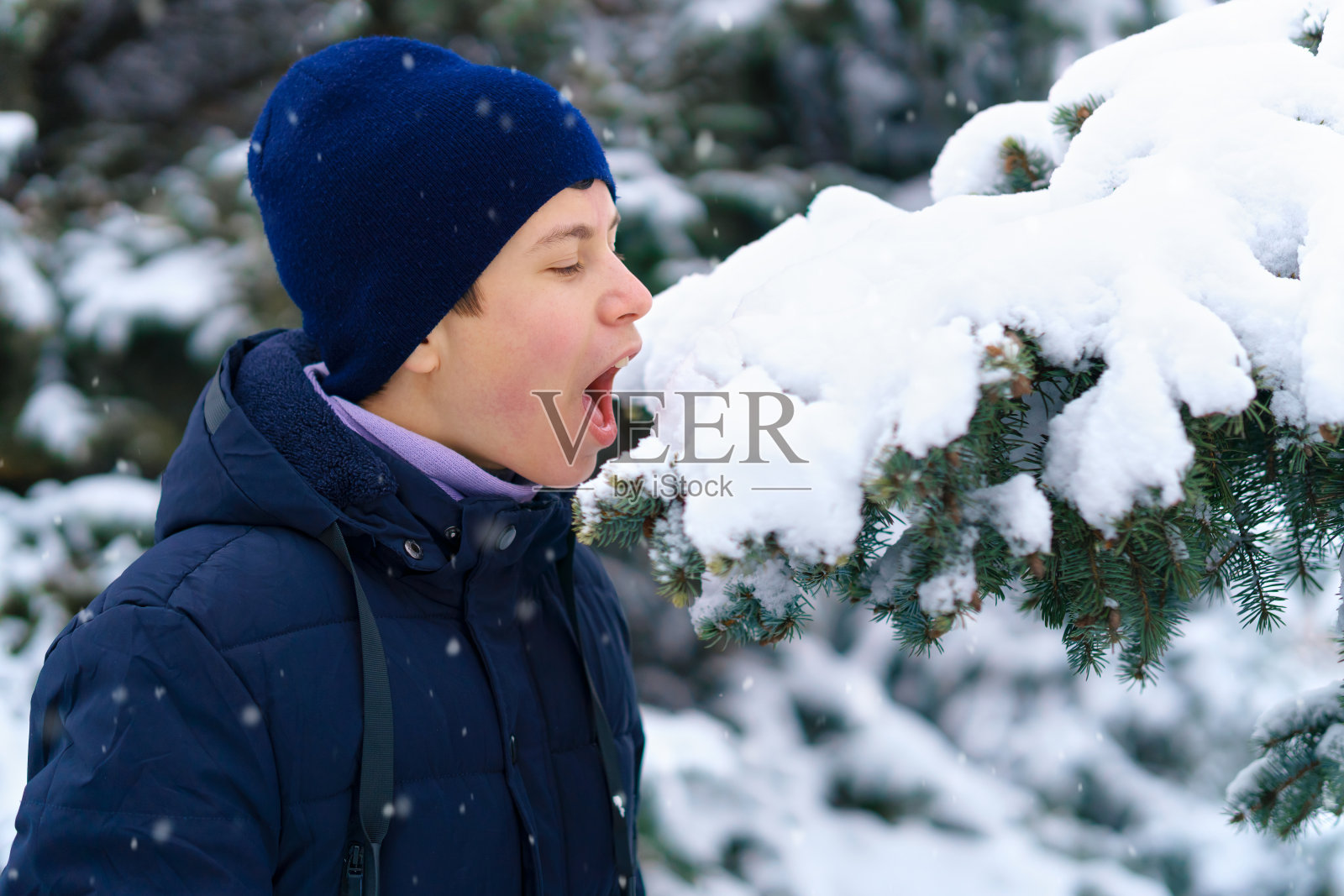十几岁的男孩在冬天的森林里玩，品尝和吃雪，白雪皑皑的杉树，美丽的大自然照片摄影图片