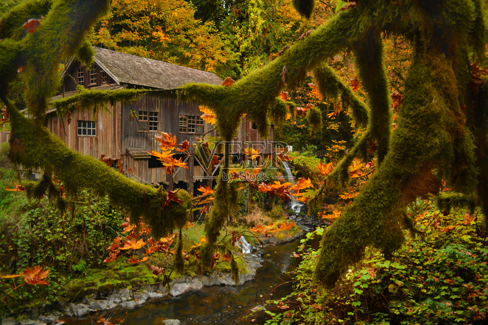 落在雪松溪谷物磨坊照片摄影图片