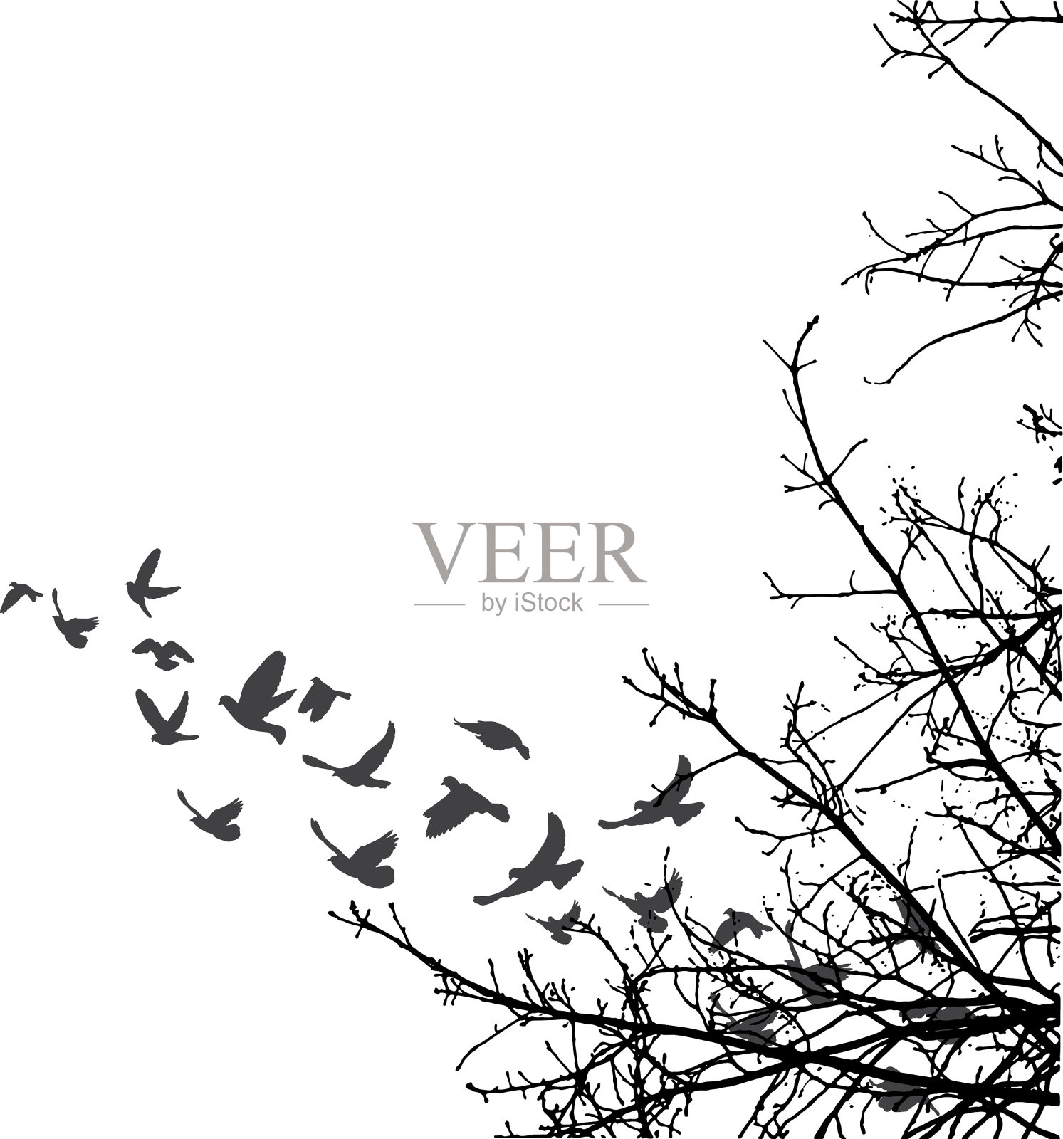 轮廓飞鸟插画图片素材