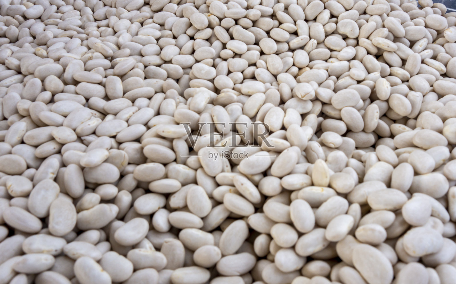 白豆照片摄影图片