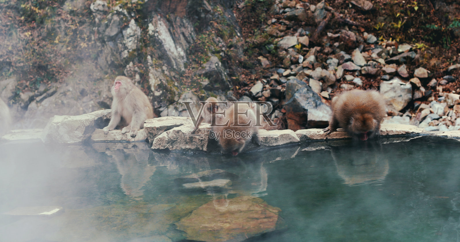 生活应该是怎样的照片摄影图片