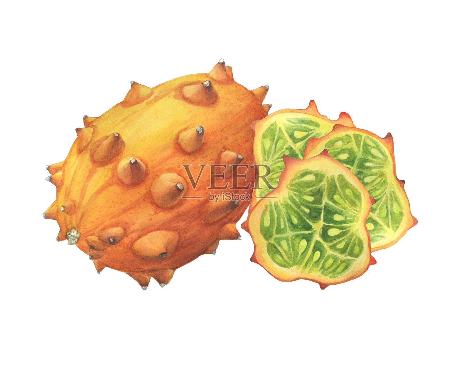 熟透的整片和三片黄瓜(也叫非洲角黄瓜，刺瓜，火参)。手绘植物水彩画插图孤立的白色背景。插画图片素材