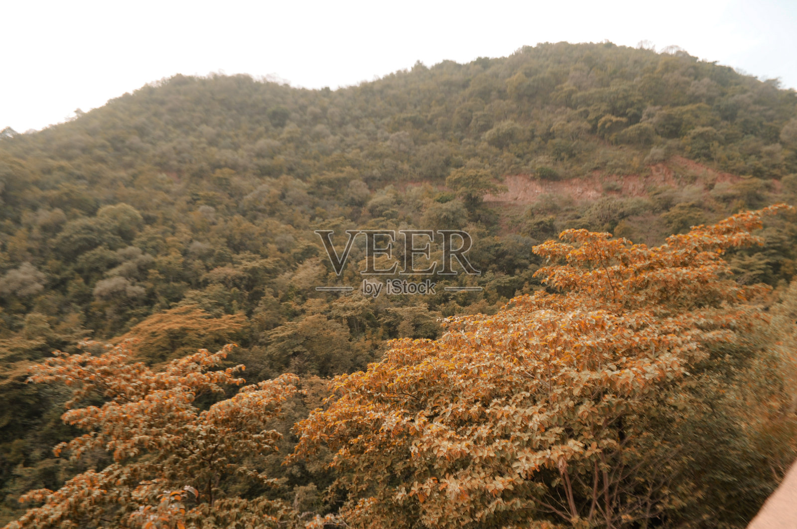厄立特里亚景观照片摄影图片