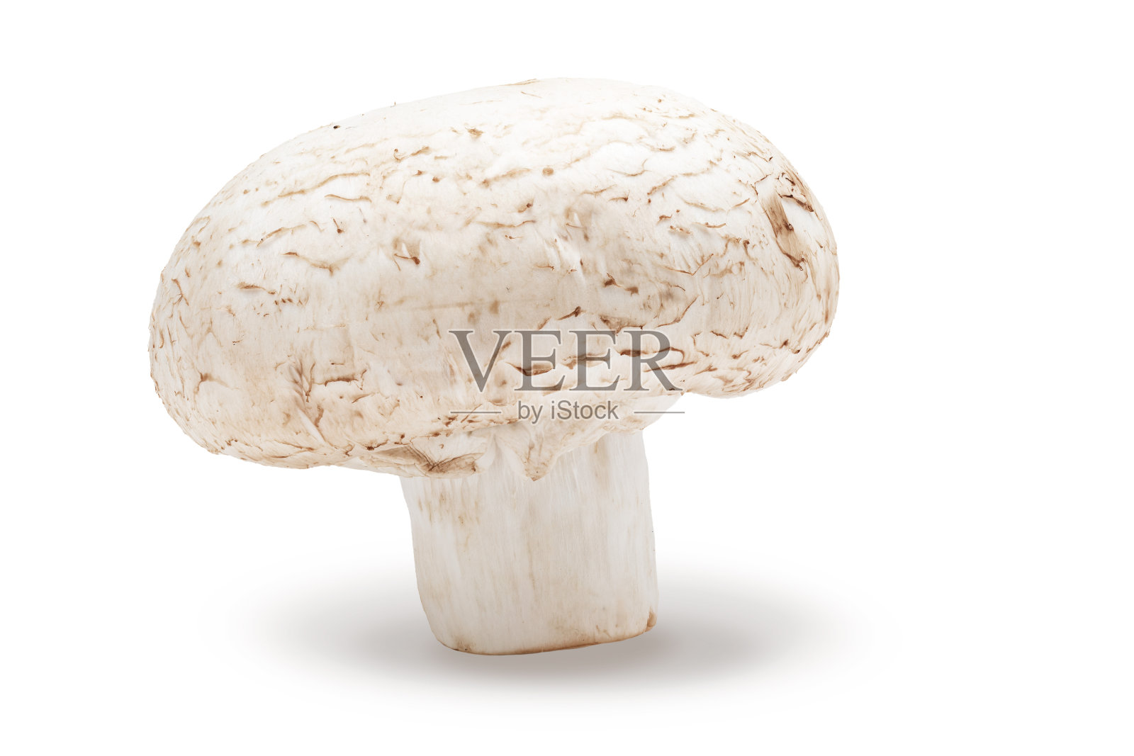 整个蘑菇(香槟，切脚，双孢蘑菇)和生的。在白色背景上隔离照片摄影图片