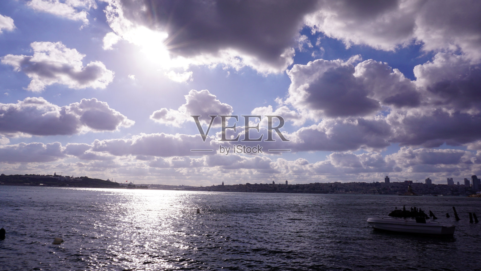 伊斯坦布尔的天际线和鸬鹚照片摄影图片