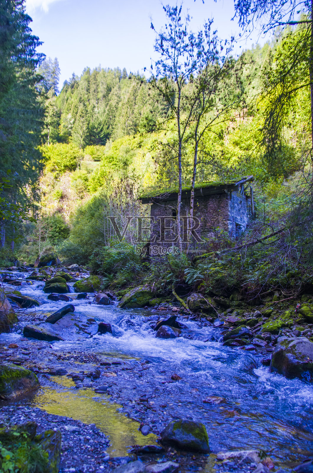 山涧浸没在山谷和树林里，在绿色的空地上有一间小屋照片摄影图片