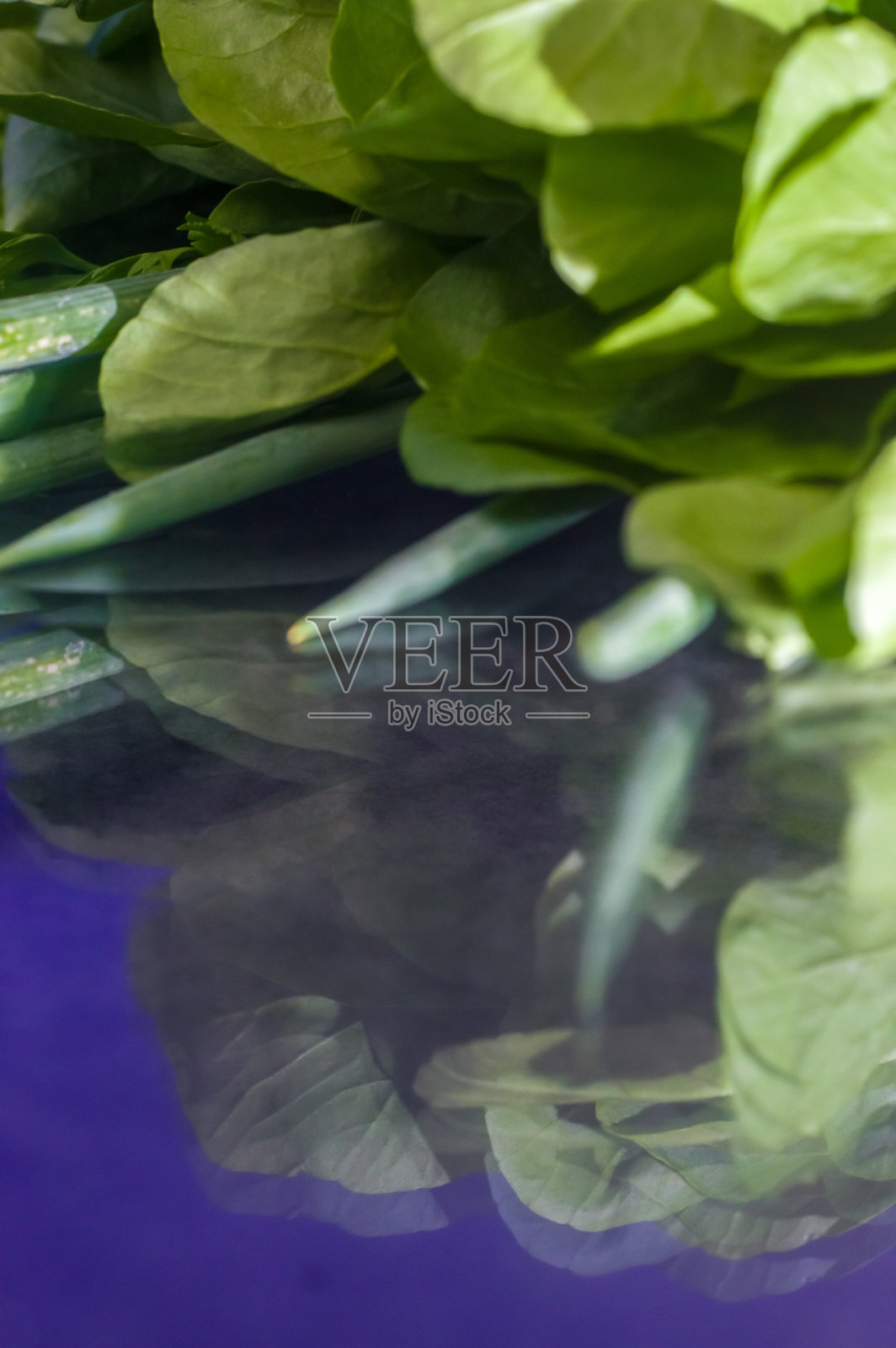 水田芹叶、欧芹和香葱放在玻璃桌上照片摄影图片