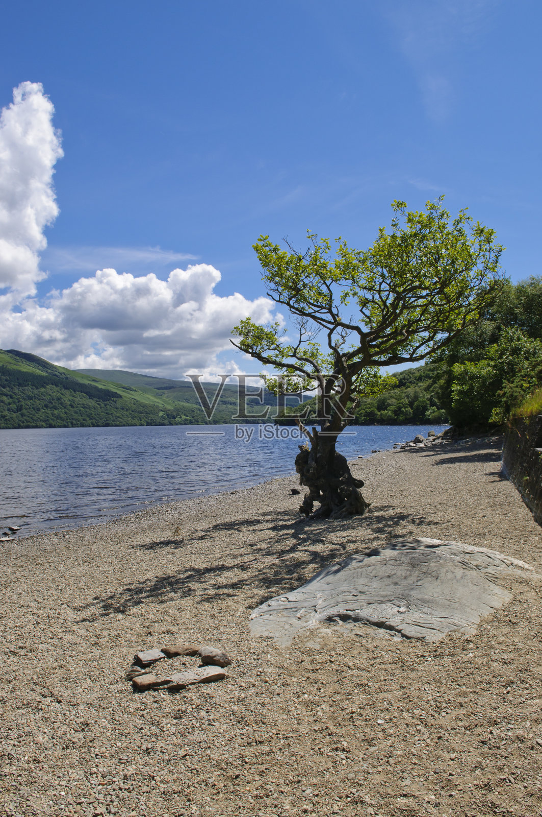 夏天的洛蒙德湖照片摄影图片