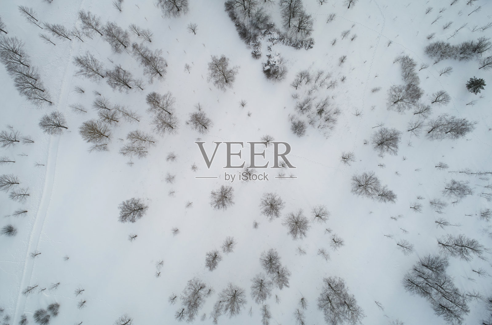 冬天农村景观照片摄影图片