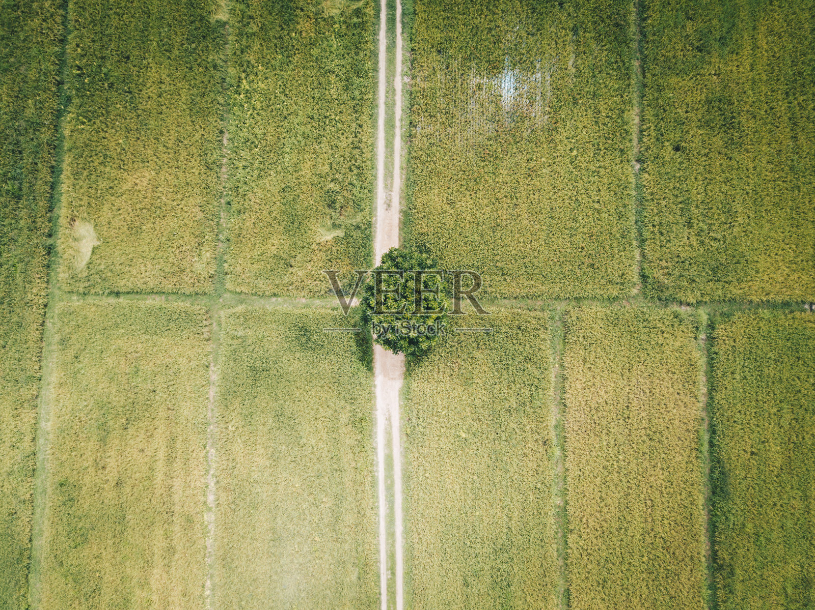 摘要从无人机角度观察泰国农村的农田。照片摄影图片
