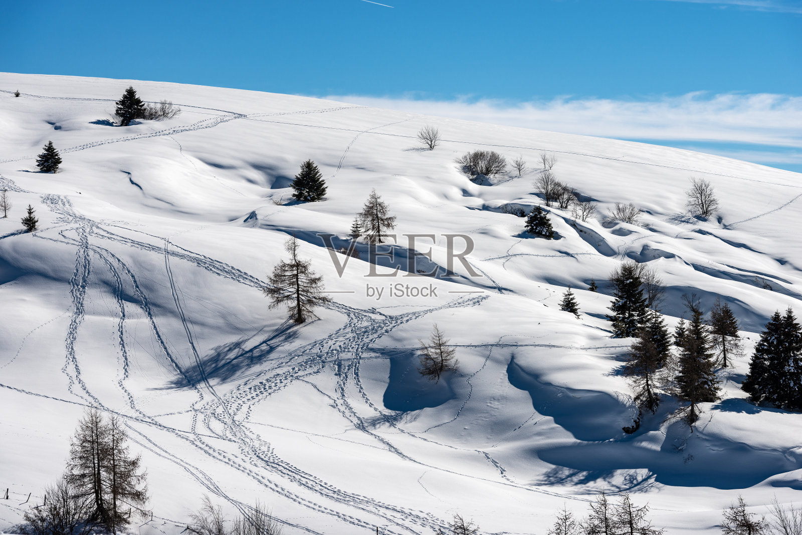 莱西尼亚高原冬季景观——意大利威尼托莱西尼亚高原照片摄影图片