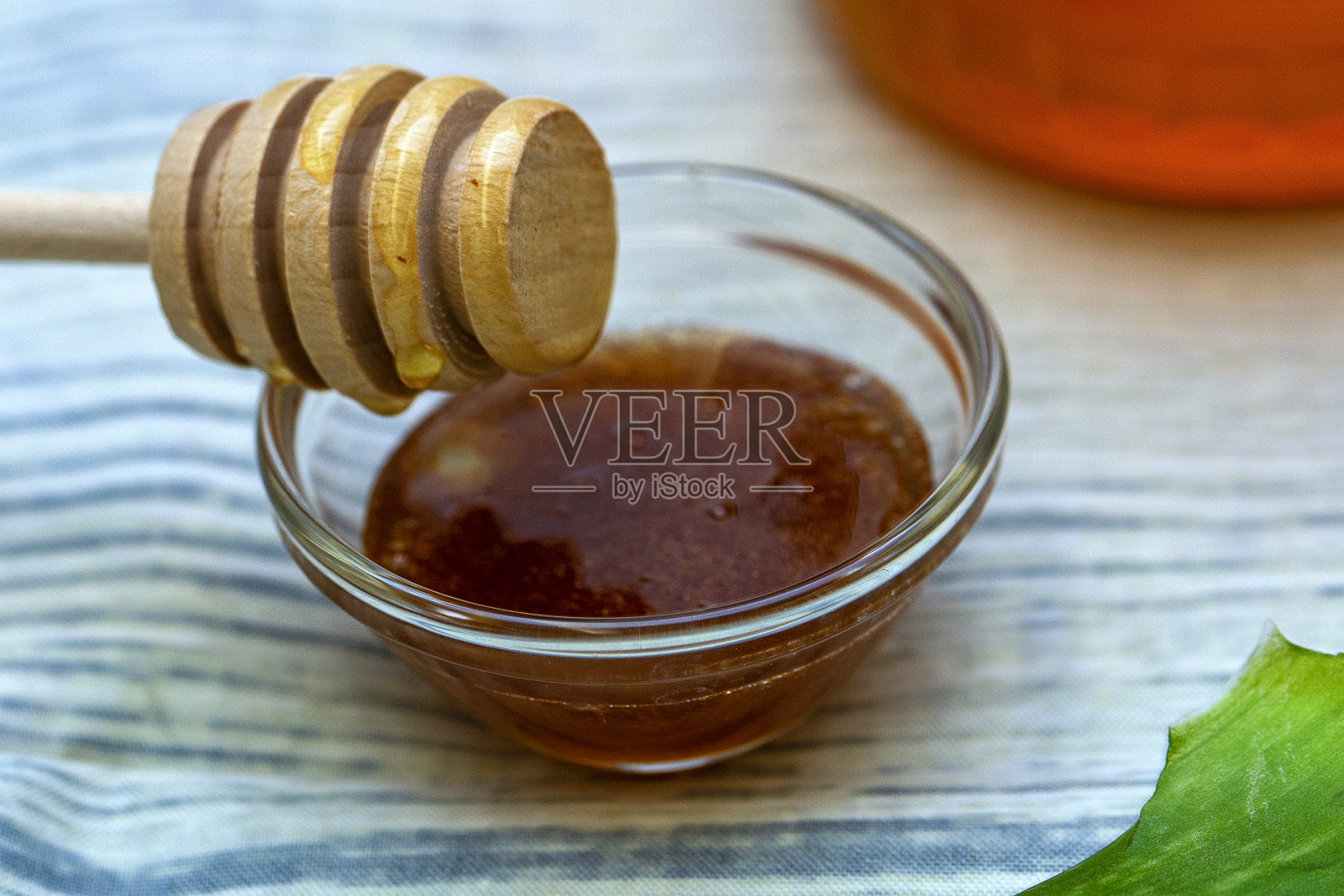 芦荟照片摄影图片