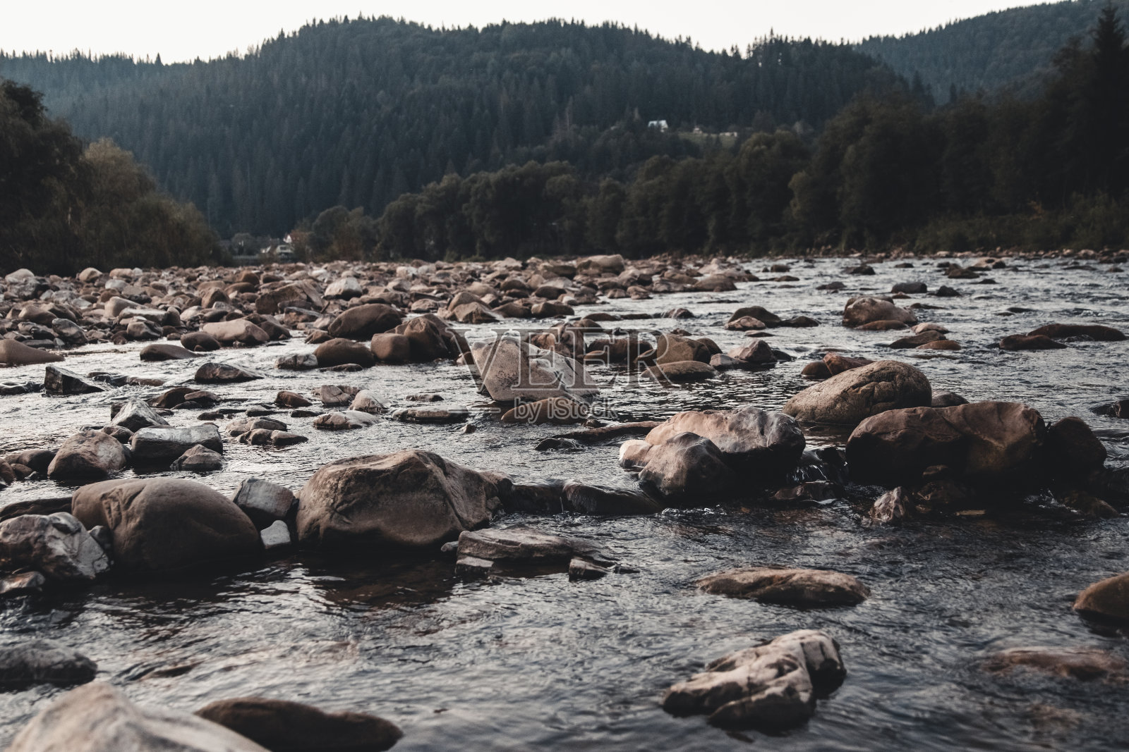 野生的山河流过冷杉林照片摄影图片