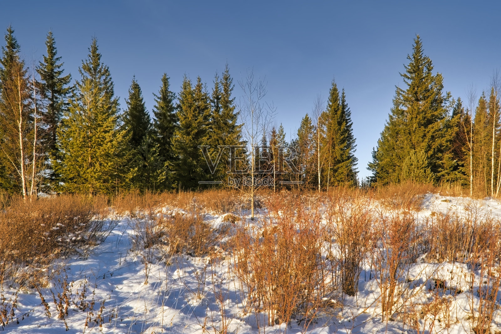 美丽的冬季风景在山上。日出。日落时的冬日美景。照片摄影图片