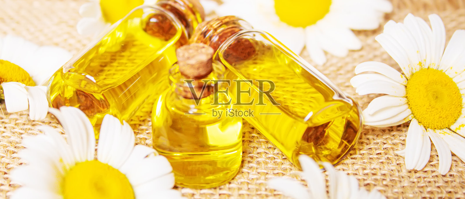 洋甘菊提取物在小鞋上的粗麻布。有选择性的重点照片摄影图片