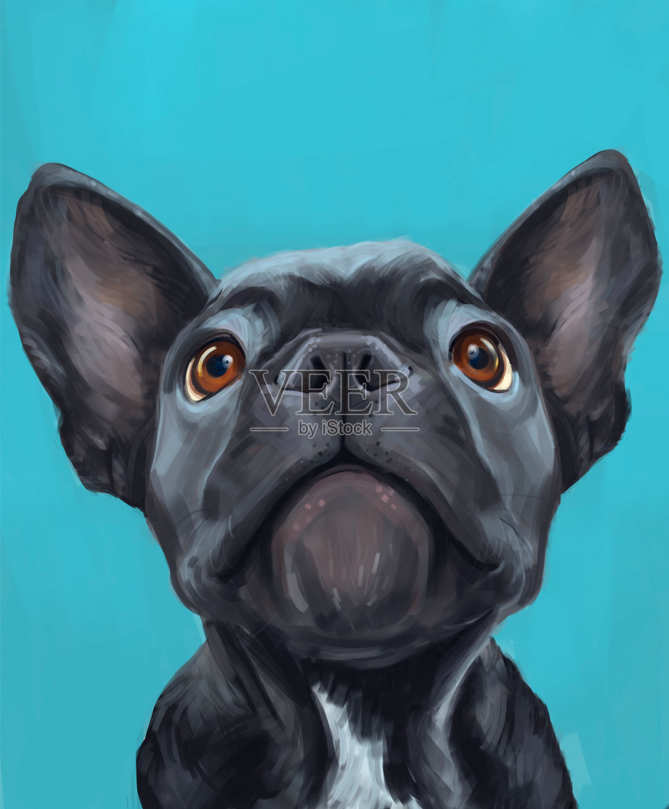 蓝色的法国斗牛犬插画图片素材