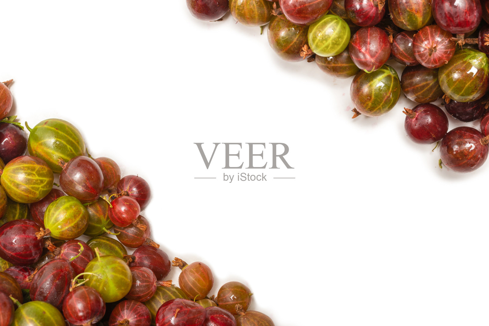 醋栗孤立在白色背景上。照片摄影图片