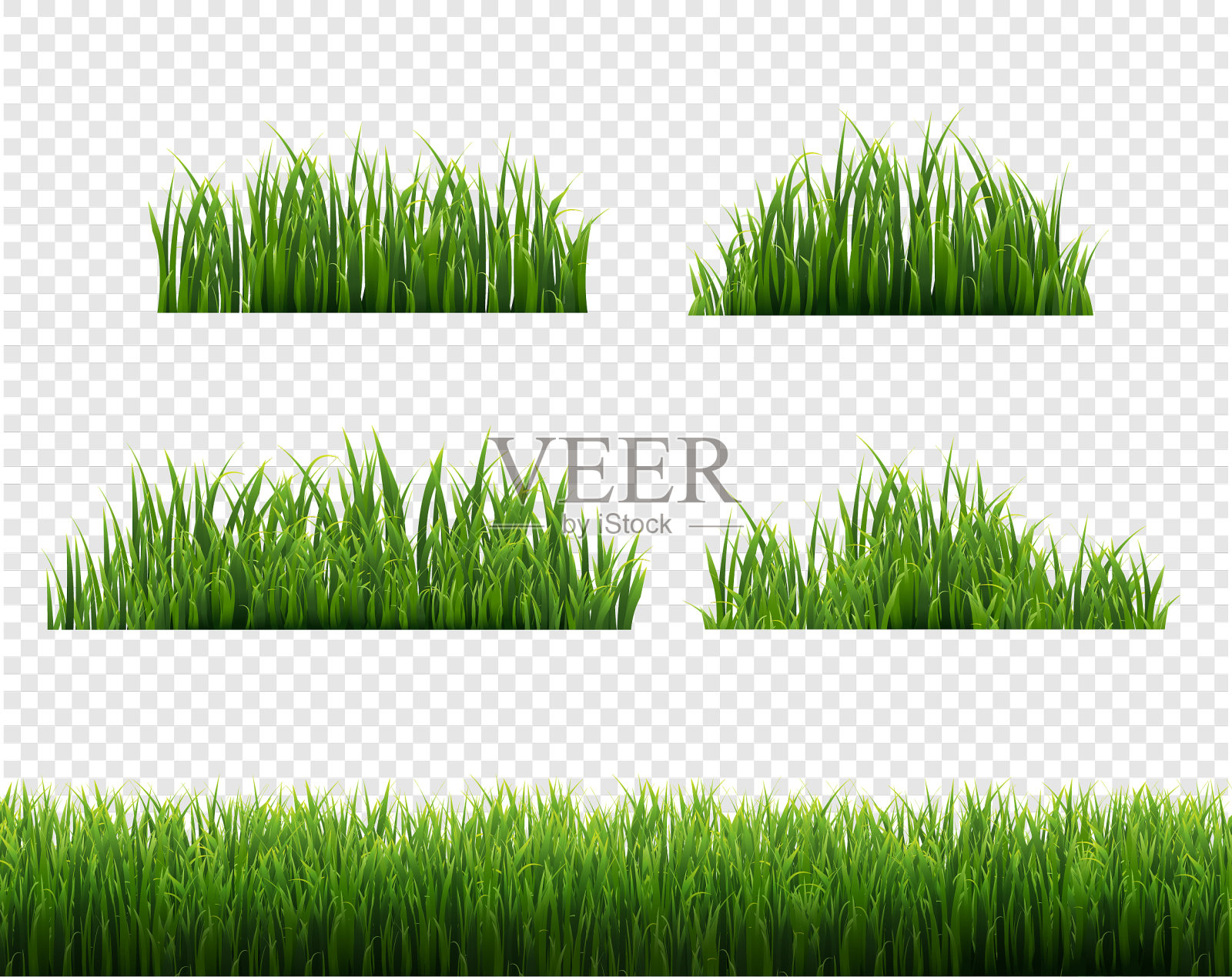 绿色的草框架透明的背景插画图片素材