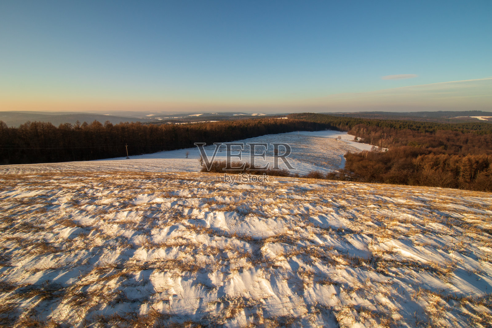 冬天的风景有树和雪照片摄影图片