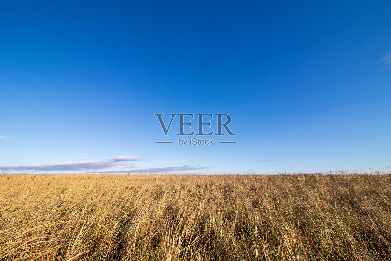 草地和蓝天照片摄影图片