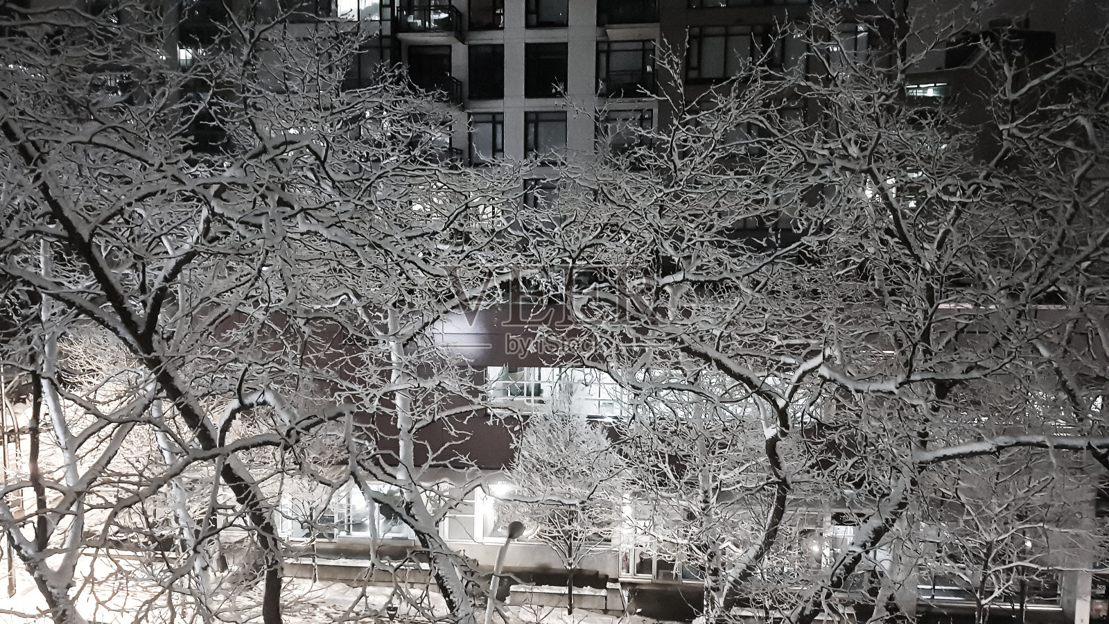 雪街及分行照片摄影图片