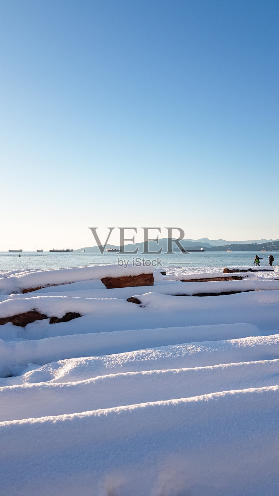 海滩上的雪木照片摄影图片