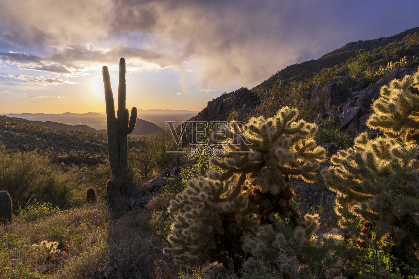 麦克道尔山日落照片摄影图片