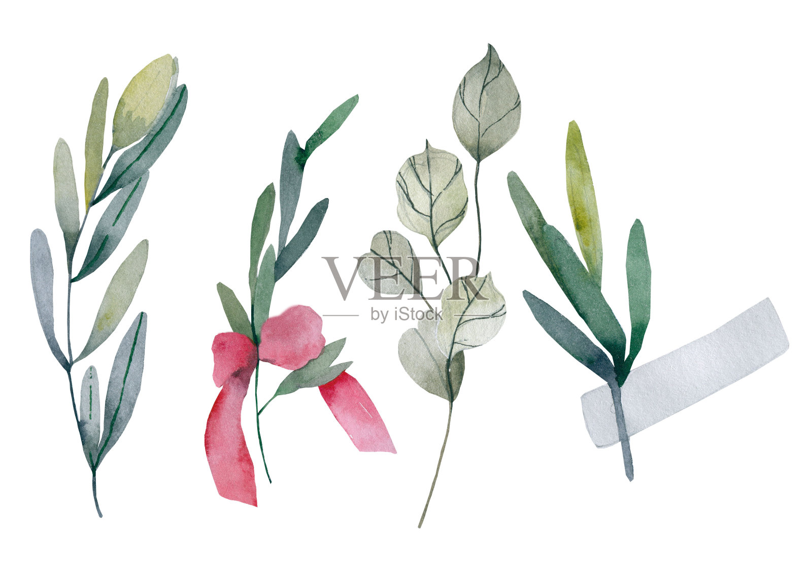 一套水彩花环和月桂。手绘树枝、树叶、花瓣等装饰元素。设计模板,邀请。插画图片素材