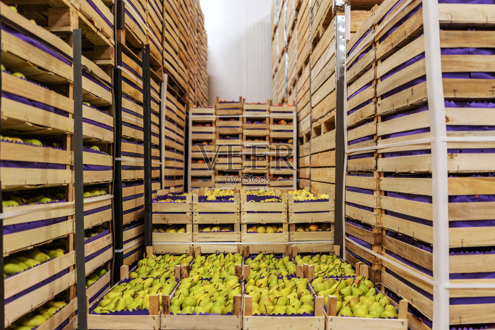 梨子和苹果装在板条箱里准备运输。冷藏室内。照片摄影图片