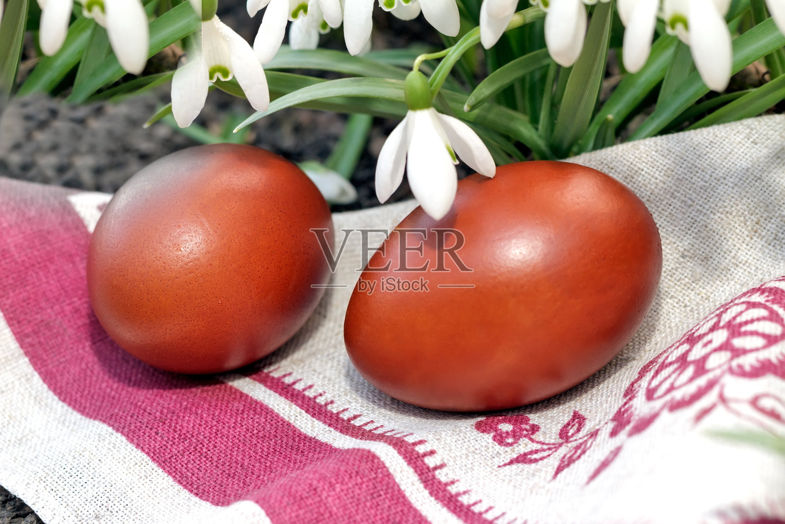 两个复活节彩蛋和雪花莲。照片摄影图片