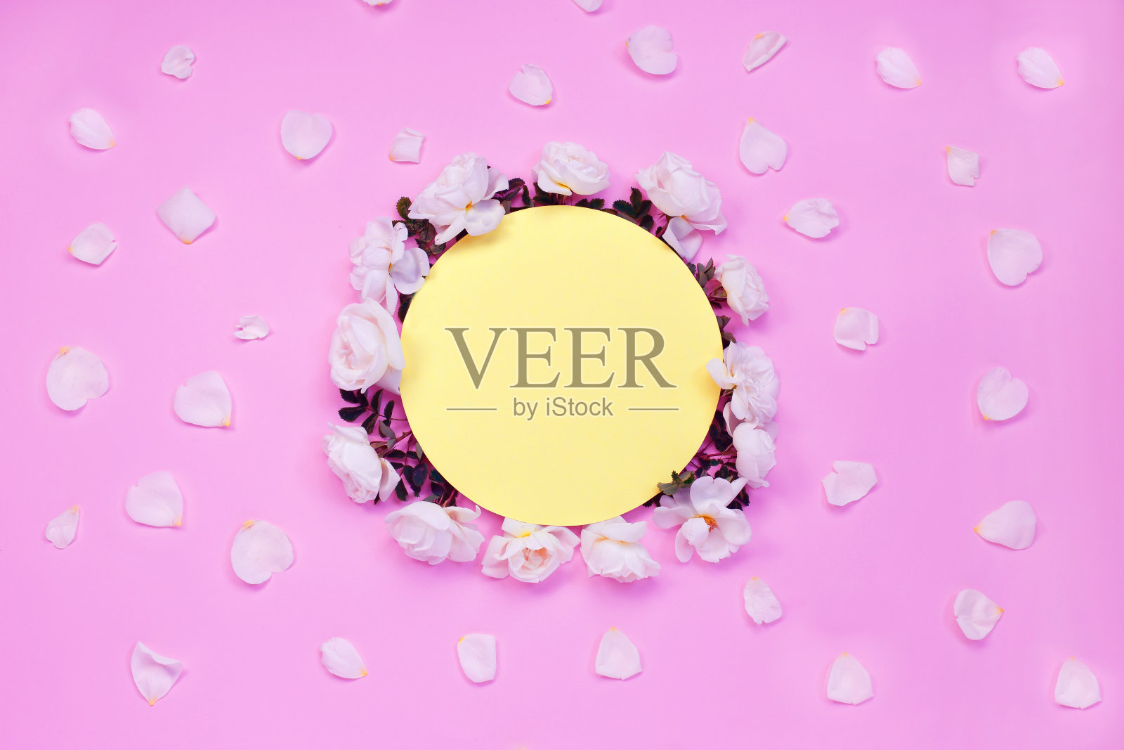 色彩鲜艳的花卉构成。框架由白色玫瑰花和花瓣在霓虹灯粉红色的背景。平铺，俯视图，拷贝空间。照片摄影图片