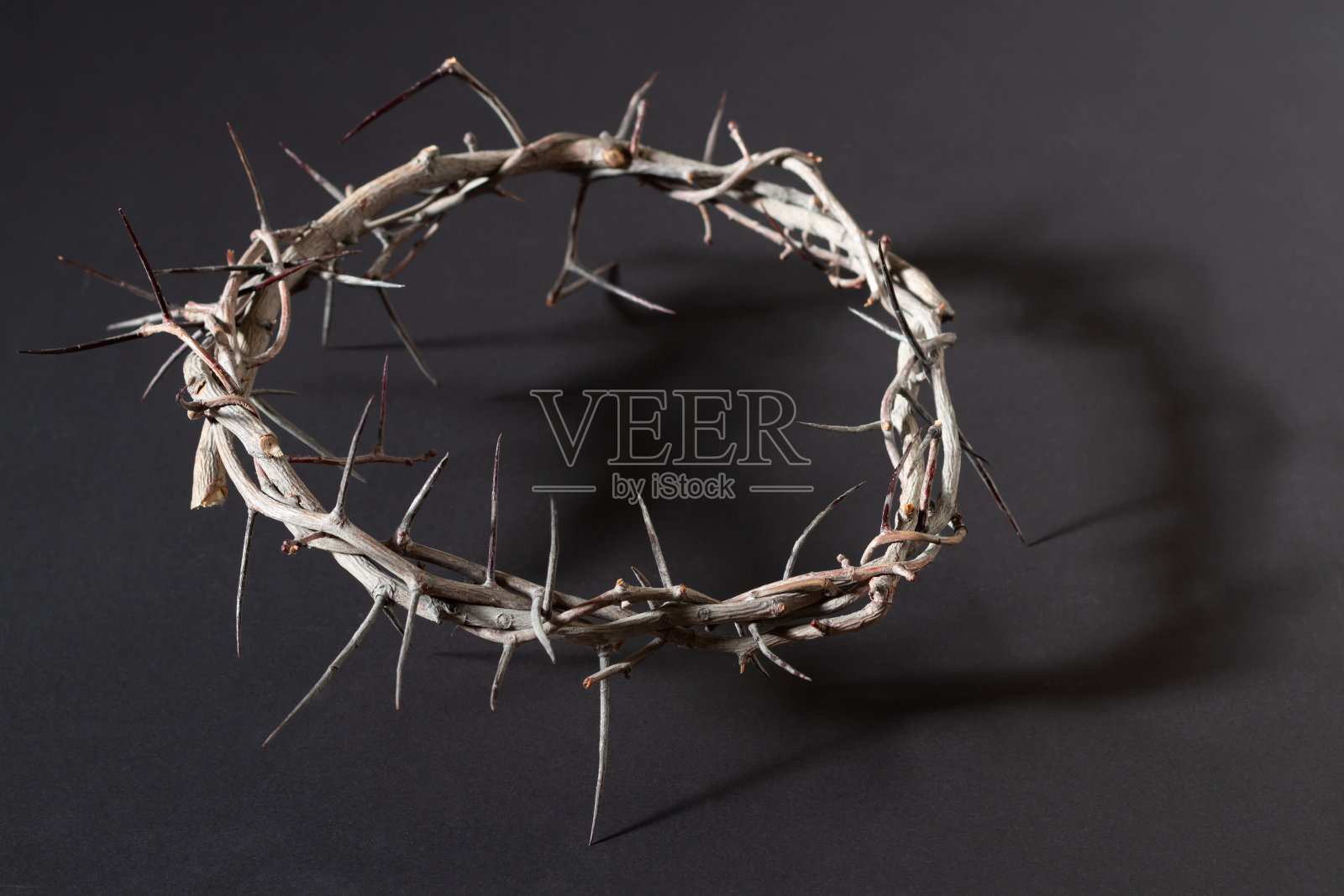 阳光照耀的荆棘王冠上的黑色照片摄影图片