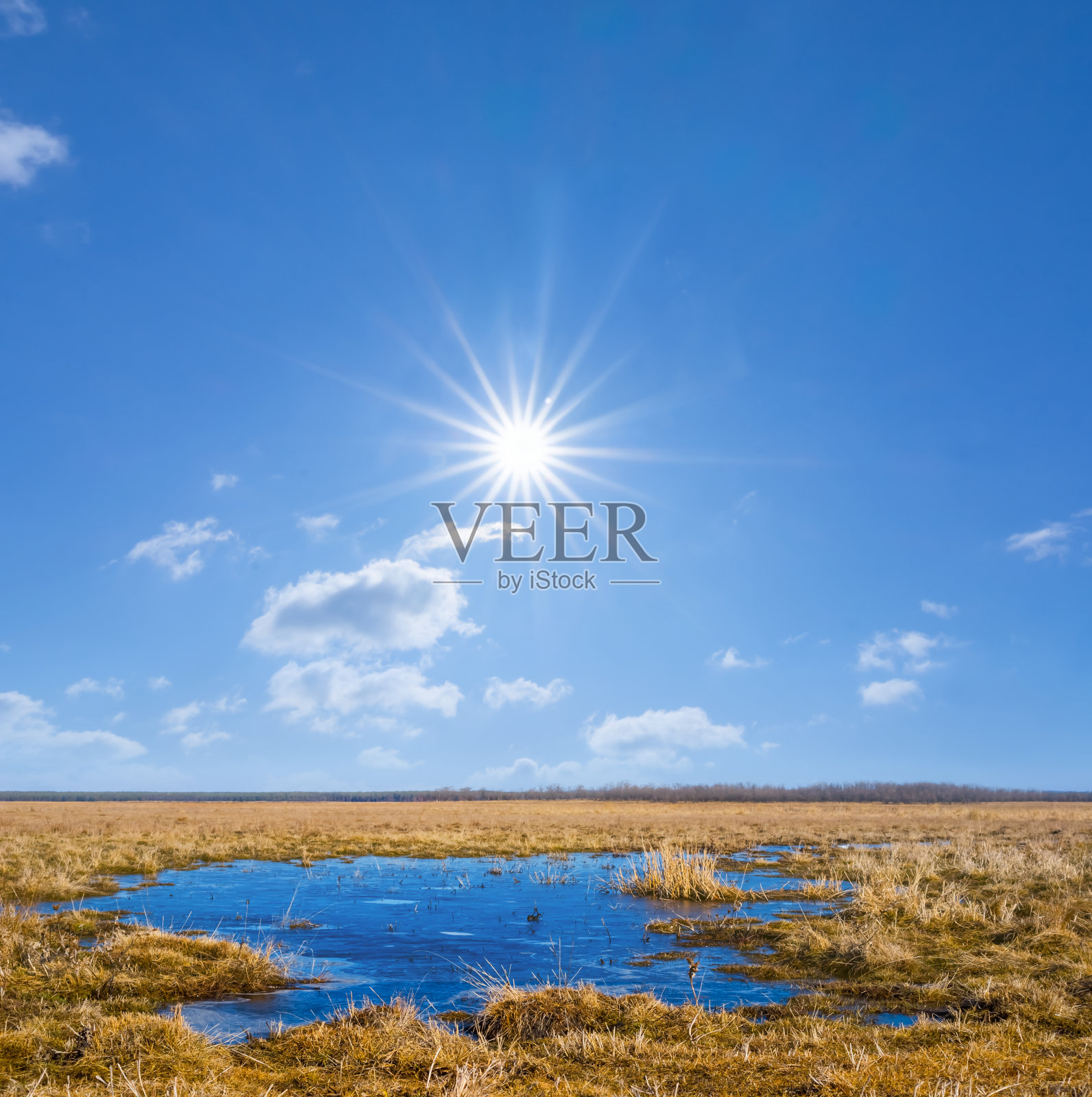 在阳光明媚的一天，小蓝湖在草原中，春日的田园背景照片摄影图片