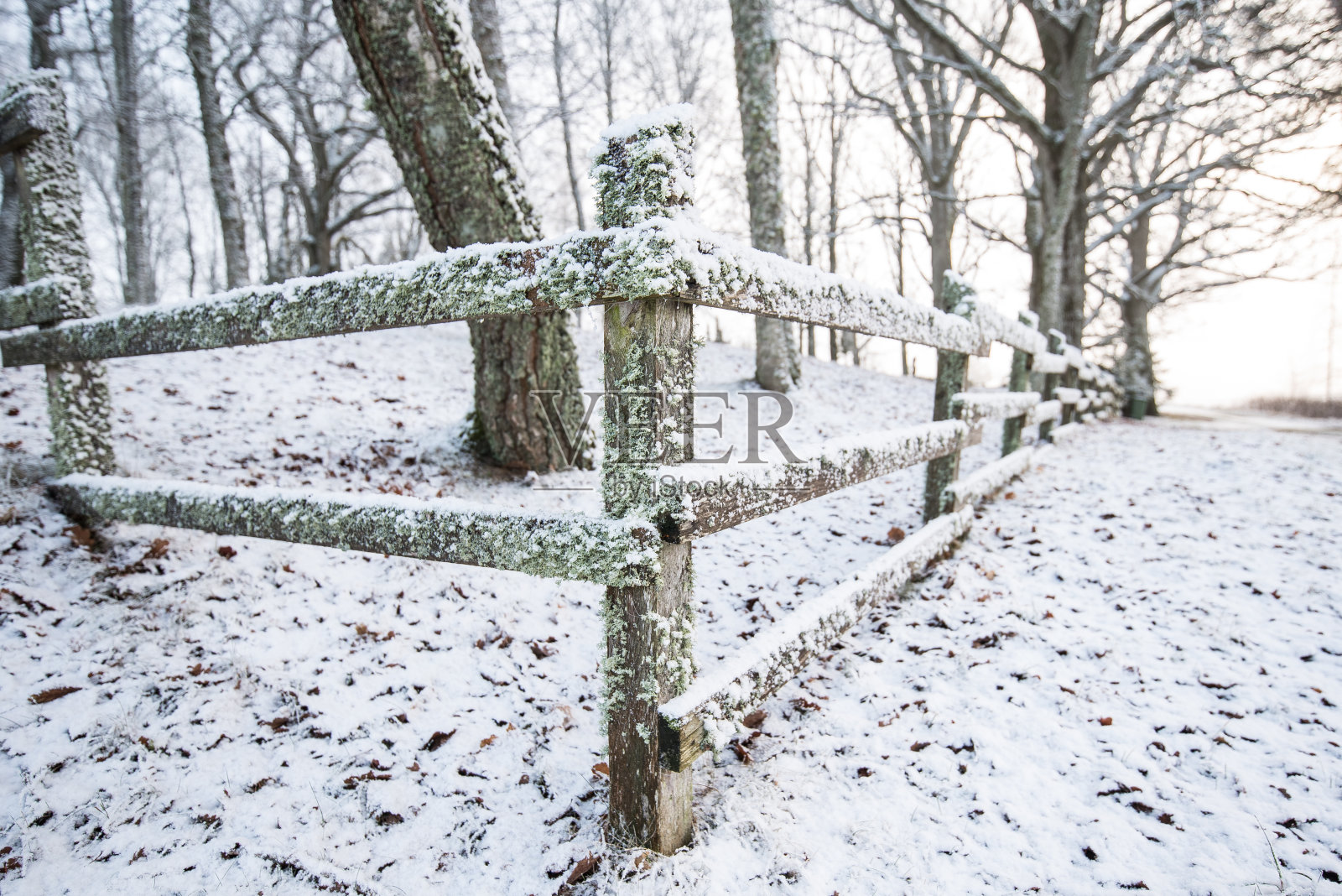 冬天的旧木栅栏照片摄影图片