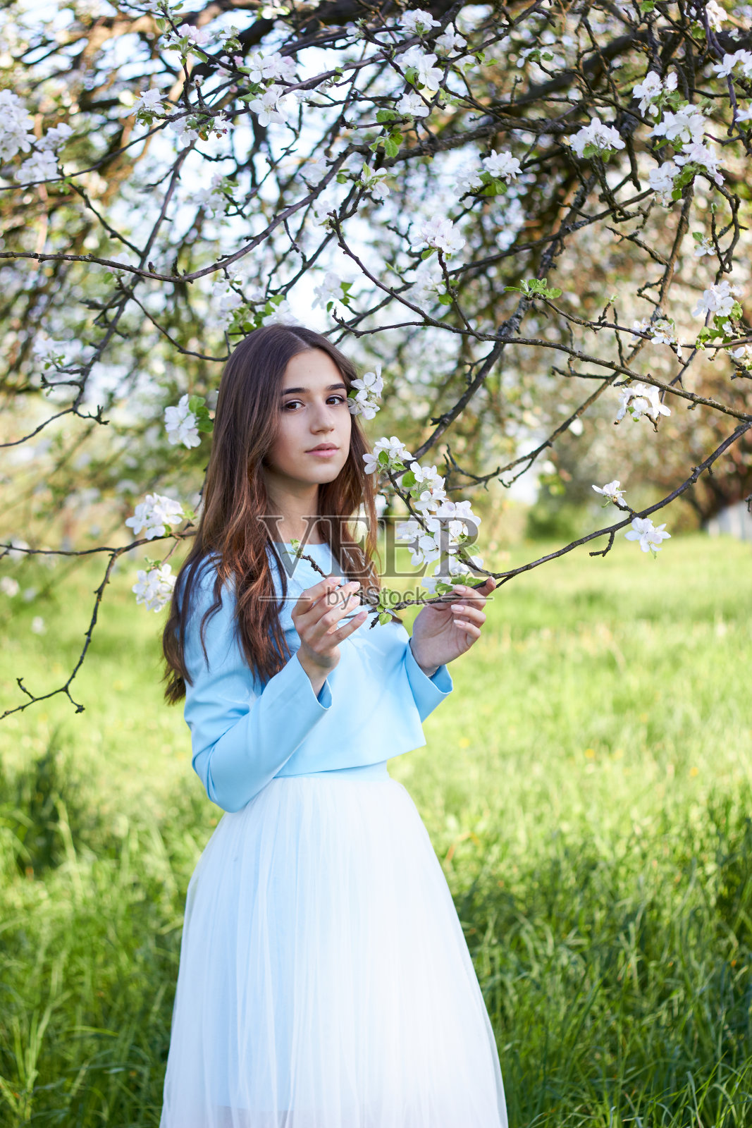 穿着白色衬衫的迷人的年轻女孩站在盛开的树的背景上。享受春天。照片摄影图片