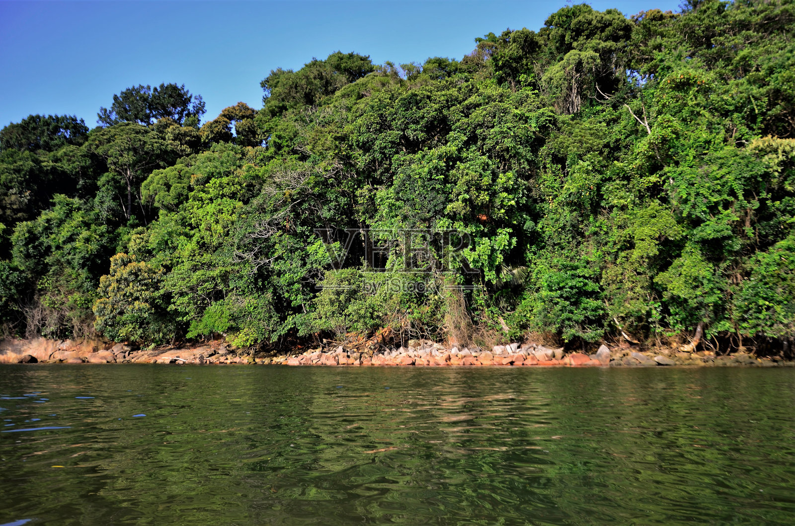 莫科河上各种各样的植被照片摄影图片