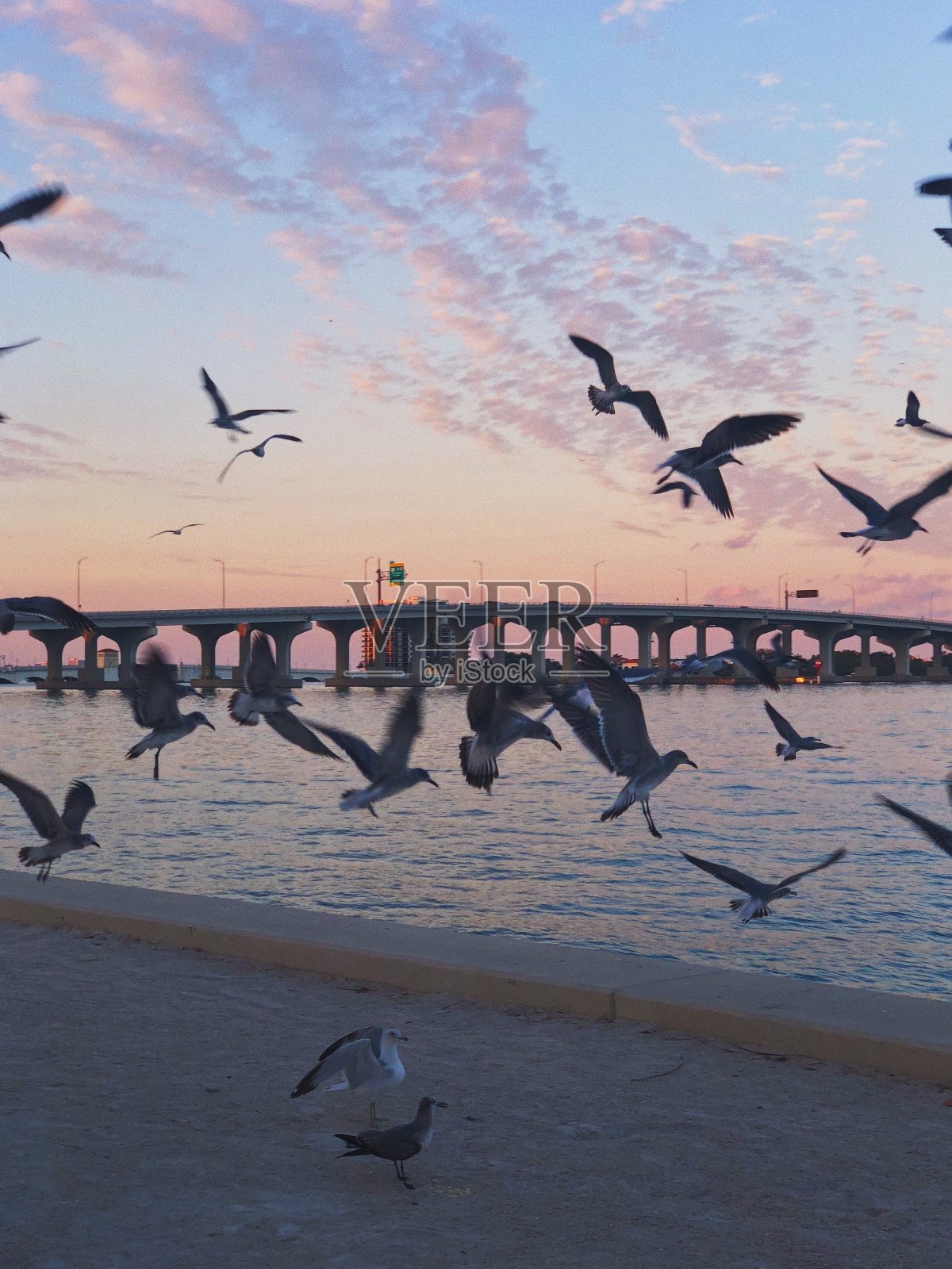 日落照片摄影图片