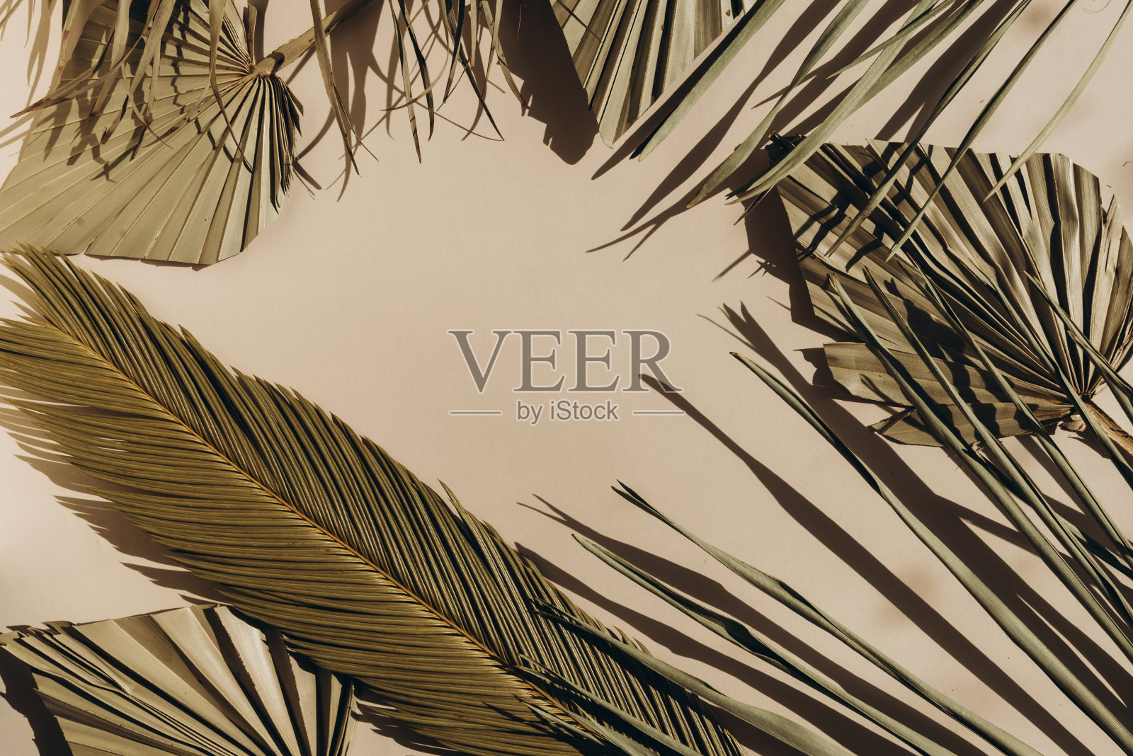 单色阳光创意框架与棕叶在米色。单色创造性的边界。照片摄影图片
