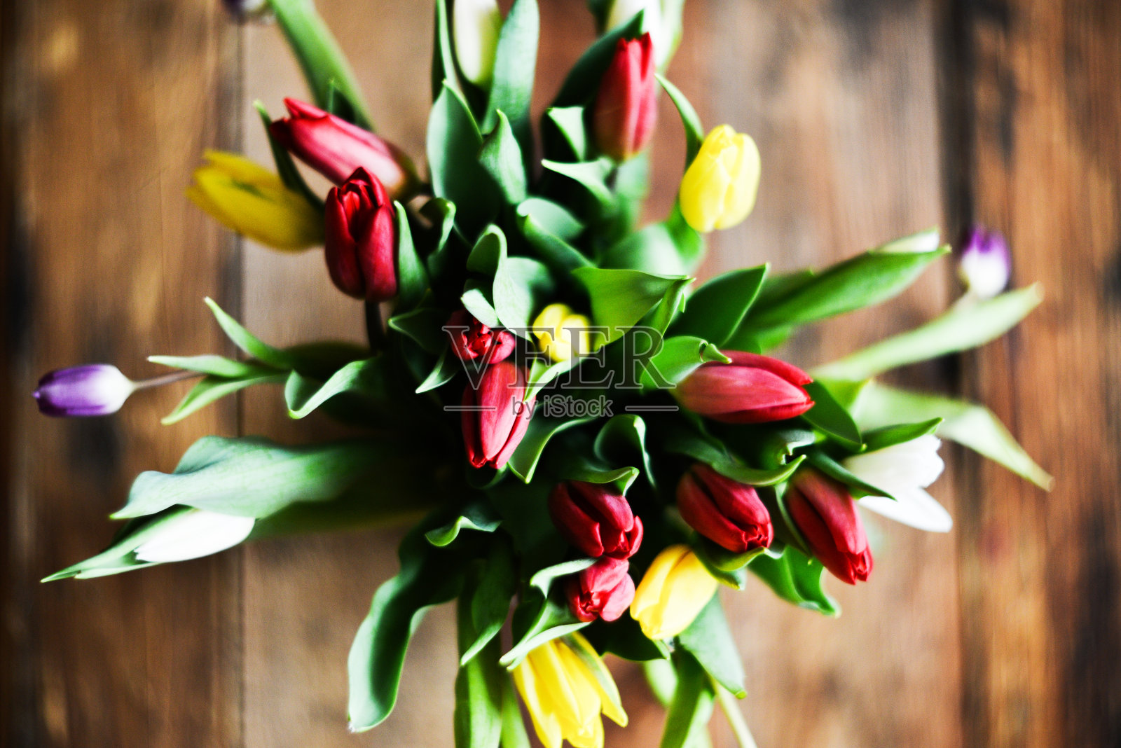 鲜花背景，贺卡，收获，mocap问候母亲节，国际妇女节:多色郁金香在一个灯光背景，copyspace为您的文本照片摄影图片