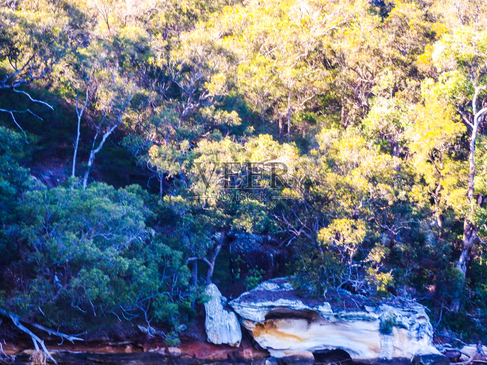 Hawkesbury河。、新南威尔士、澳大利亚照片摄影图片