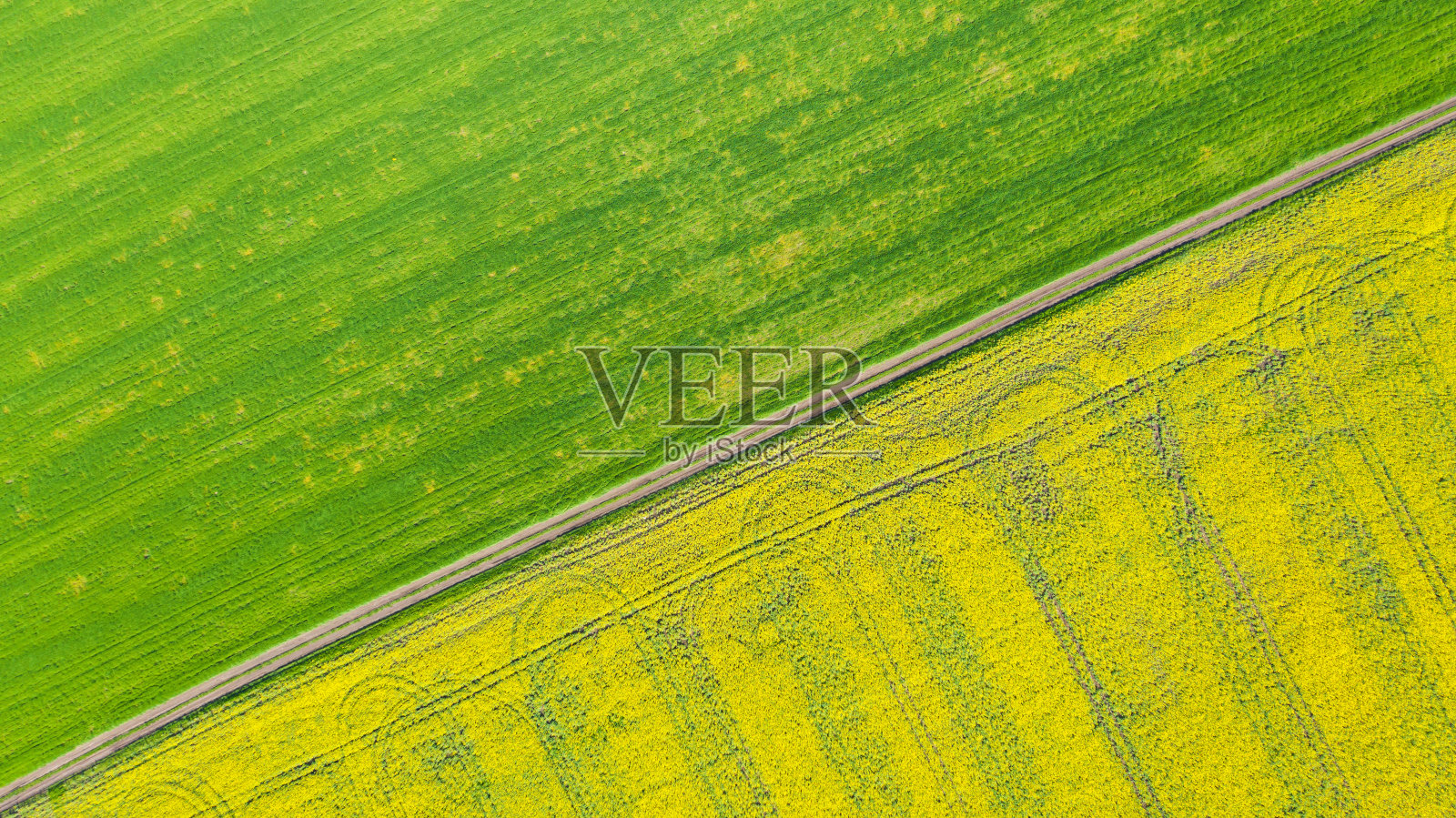 农田的鸟瞰图。照片摄影图片